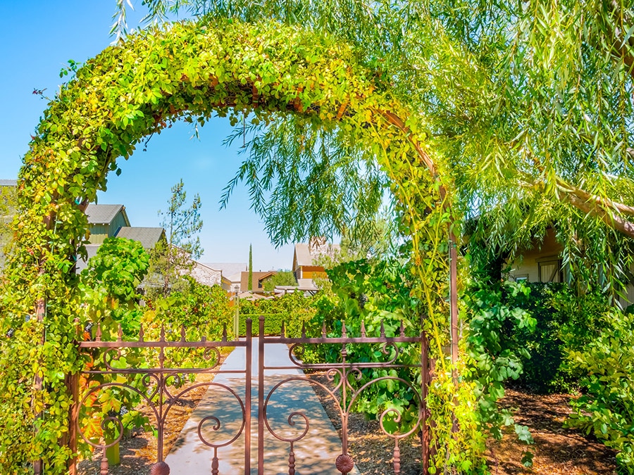 garden archway: Dedicated to Helping You Grow Your Real Estate Investment Portfolio